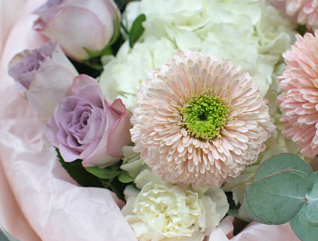 Bouquet of white hydrangea and gerberas "Melody of feelings" photo